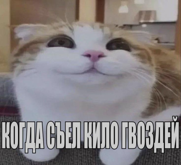 n00ill